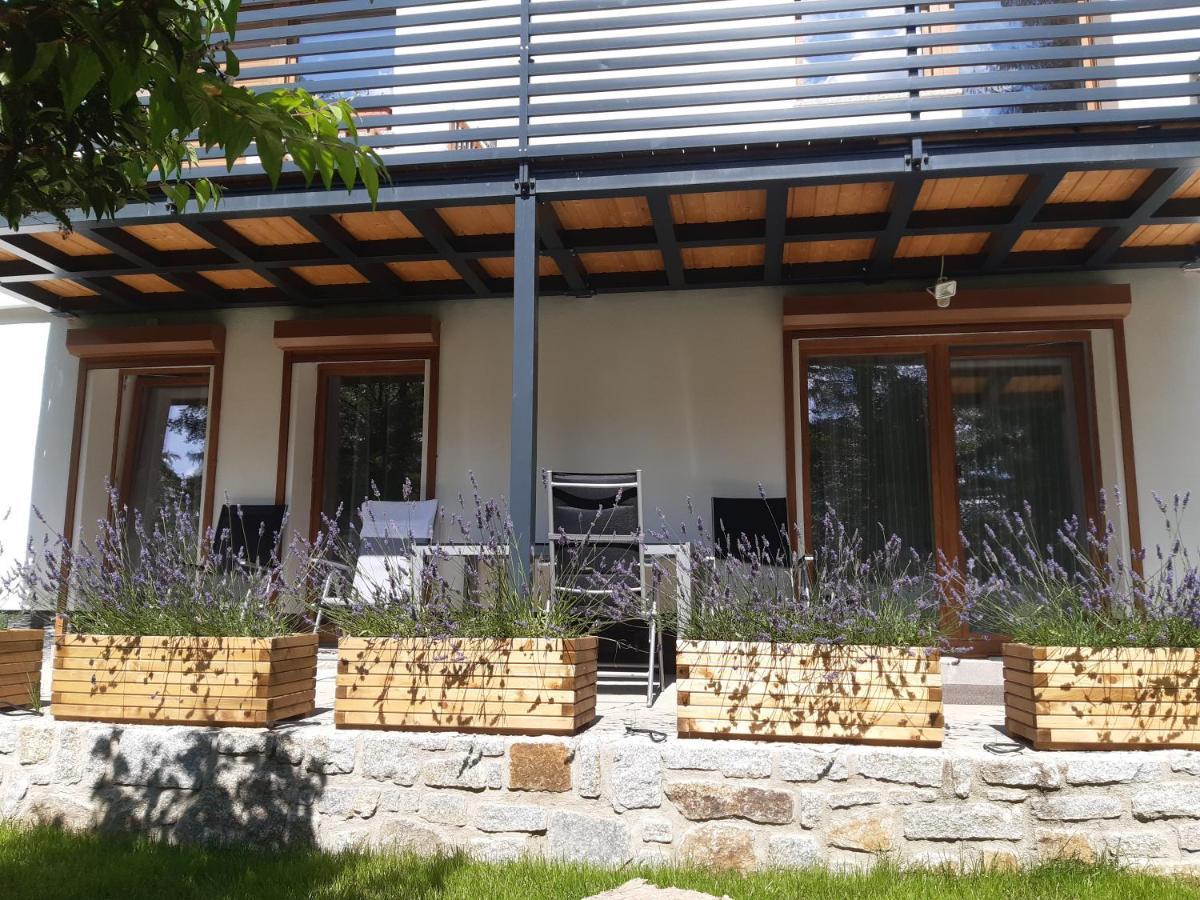 Apartamenty Przy Swierku Szklarska Poreba Ngoại thất bức ảnh